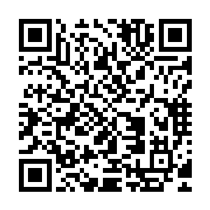 他们唯一的作用就是略微缓解了一下建国时候的人员紧缺问题二维码生成
