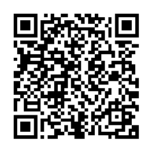 他们四处宣扬他们继承了古希腊古罗马的种种文化文明和学问二维码生成