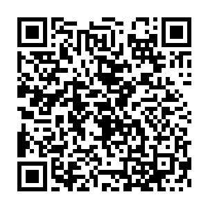 他们在一起渡过那么多美好的时光一幕幕地在自己人的脑海里涌出二维码生成