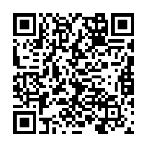 他们在之前就对各方位的镇守安排了主神进行防御二维码生成