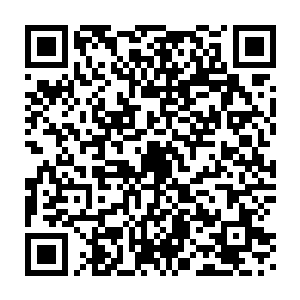 他们在地下挖坑埋入的地方在叶秋不经意间看到了一排细小的管道二维码生成
