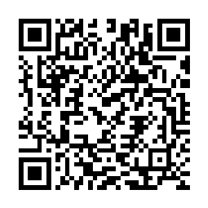 他们在山中与一支人数与他们相当的魔族军团的小分队不期而遇二维码生成