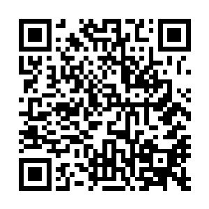 他们在清理出的通道两边每隔不远就插上一节树枝作为标记二维码生成