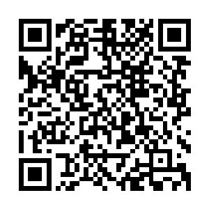 他们在短时间内将自己凝聚出真正仙道的经验全传授给了我们二维码生成