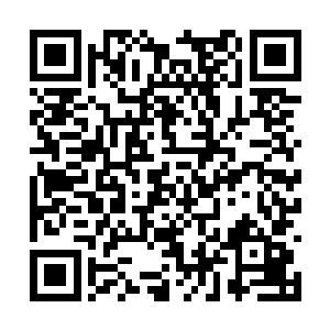 他们在秋蓝的身上安装了一个类似定位设备的装置二维码生成