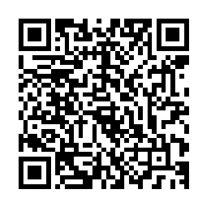 他们在这里研究……如何将强者大脑中的优势区域融合到一起二维码生成