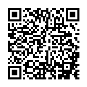 他们好奇是什么样的阵法可以抵挡绝世仙王强者的一击二维码生成