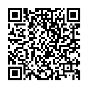 他们存在的目的只是用来给观众增加一些对比赛的代入感而已二维码生成