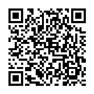 他们完全不觉得这个世界上有人可以免疫他们这样强横的攻击二维码生成