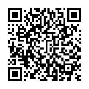 他们完全意识不到政府的公信力对于政府的执行力有多么重要二维码生成