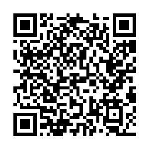 他们实在再清楚不过族长布拉德对于斯图亚家族的重要性了二维码生成