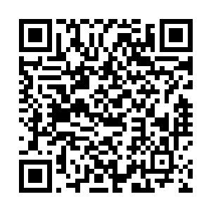 他们实在是搞不明白副院长为什么要听从一名学员的话二维码生成