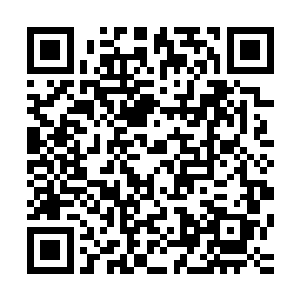 他们实在是难以把眼前的雨果和刚才大屏幕上那邪魅可怕的阿二维码生成