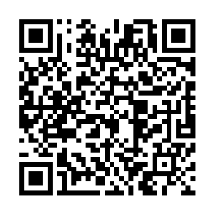他们害怕萧摇追究他们的刚刚贪生怕死而把她推出去的责任二维码生成
