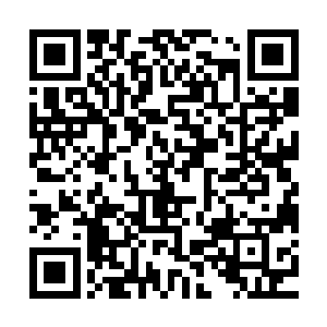 他们对于塔拉夏和塔拉夏那一系列手段的认识甚至还要清楚得多二维码生成