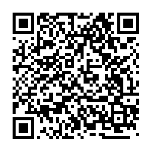 他们对你们蓝岛的制造业产业园区和现代服务业发展的经验很感兴趣二维码生成