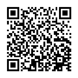 他们对林放的感觉如今已经不仅仅只是老大和小弟的感情了二维码生成