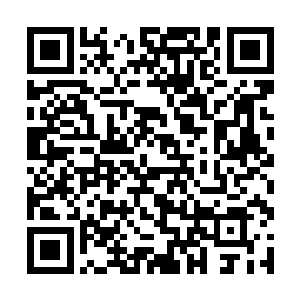 他们将分别代表人类与魔族在很多不同的战场上相遇二维码生成