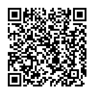 他们将刚才抓住了几个黑人俘虏带到了一个相对僻静安全的地方审问二维码生成