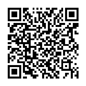 他们将首次挑战一下……六人同排的噩梦难度团队生存模式二维码生成