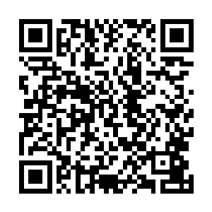 他们就争着抢着从胖子张真的手中把笔记本和笔抢了过来二维码生成
