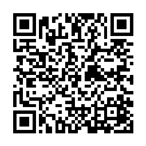 他们就已经可以在副本中独自完成选择执行的任务了二维码生成