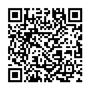 他们就是想去找在仲伯伯家磕头的那个乡巴佬算账呢二维码生成
