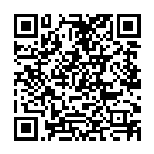 他们就算是实力再强大也不可能无视这么恐怖的阵法二维码生成