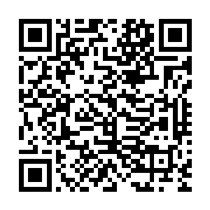 他们居然还要我们家从山脚下修一条路直通到他们家的祖坟呢二维码生成