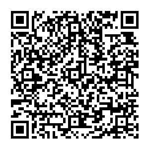他们已经从恍惚中完全清醒了过来一个个从地面上飞起但是在空中也有着大量的飞行妖兽阻拦着他们二维码生成