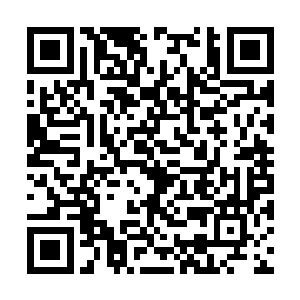 他们平常就是通过我们的服务器组计算一些很前沿二维码生成