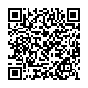 他们并不会将触手变成刀片之类的武器进行攻击二维码生成
