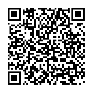 他们并在边境最前沿的岗楼下面刻了一个代表海军陆战队的巨大徽章二维码生成