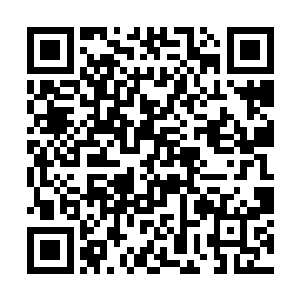 他们开始开始利用这个地灵一族之人的性命进行指引二维码生成