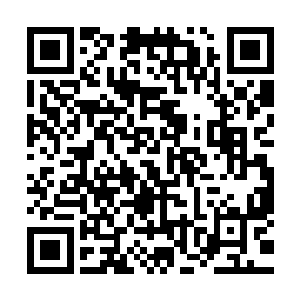 他们当然不会觉得我能够在极短时间内就用上这一招一式一法二维码生成