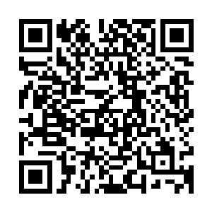 他们当然是不好明湖文化现在的这批已经是成手的签约导演相比二维码生成