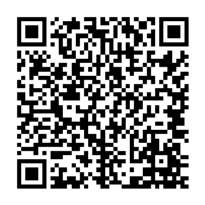 他们很可能会借着皮克王国地震后的混乱局面彻底掌控皮克王国的政权二维码生成