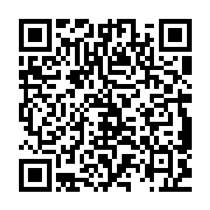 他们很多都不怕死……因为他们的犯罪所得多半都已无法追回二维码生成