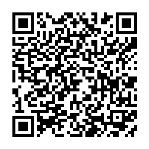 他们很轻松就可以跨过去了……而有些天才武者更是明明可以轻松跨过去的二维码生成