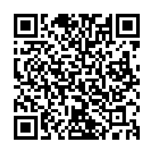 他们得到的消息还是很久以前夏天刚刚成为龙组代理组长时候的二维码生成
