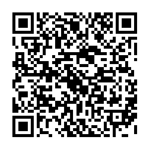 他们必须承认眼前这个公认男神已经无比低调而的在剑道上临驾他们好几个级数二维码生成