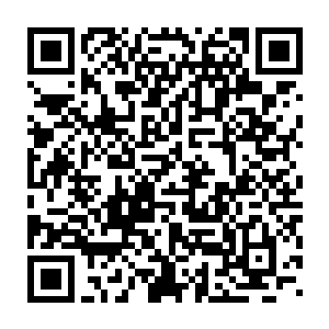他们总共击沉和劫掠了天环界的各类运输舰和商船一千九百二十五艘二维码生成