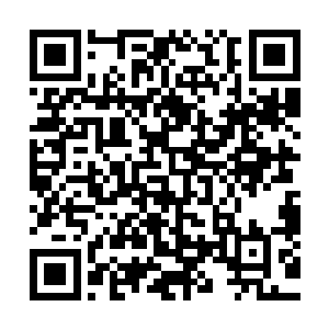 他们总是能敏锐的察觉到外界环境的变化已经大人情绪的浮动二维码生成