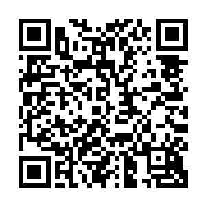 他们总算在一个叫城市花园的小区里找到了一个两室一厅的户型二维码生成