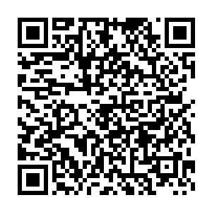 他们想到林辰可能会懂点医术再配合修武气息能够做到些简单的处理二维码生成