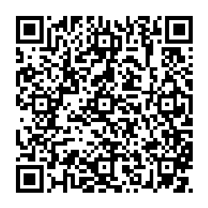 他们想要看一下 这夜枭的极限 到底在哪里 他能够打到哪 有谁 能够懒得下他二维码生成