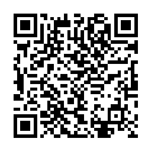 他们想要看看这三个大修士能够在燕山魂的手下支持几招二维码生成