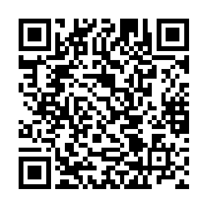 他们成为我们的幡下亡魂只能够怪他们实力不济罢了二维码生成