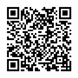 他们或许会等敌人大部队发起新一轮的攻击时出击二维码生成