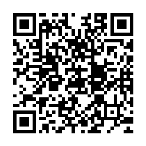 他们截留了北美票房百分之十――也就是1855万美元作为发行费二维码生成